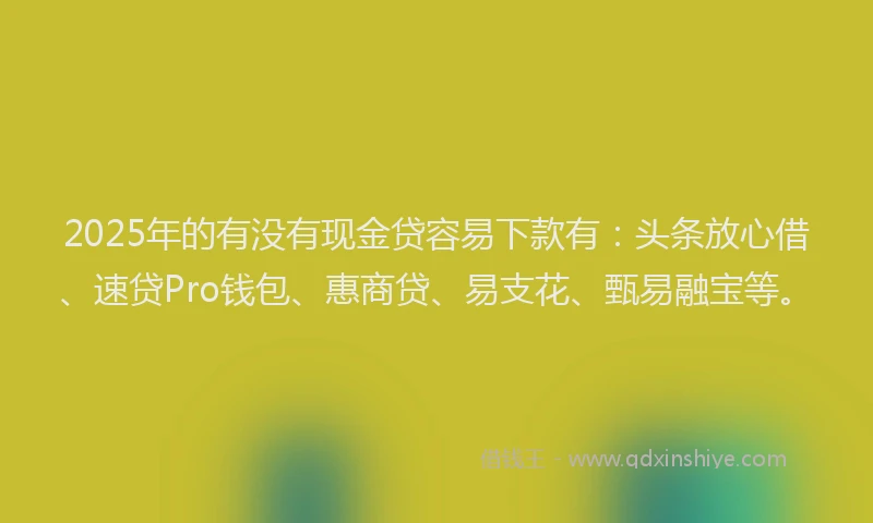 2025年的有没有现金贷容易下款有：头条放心借、速贷Pro钱包、惠商贷、易支花、甄易融宝等。