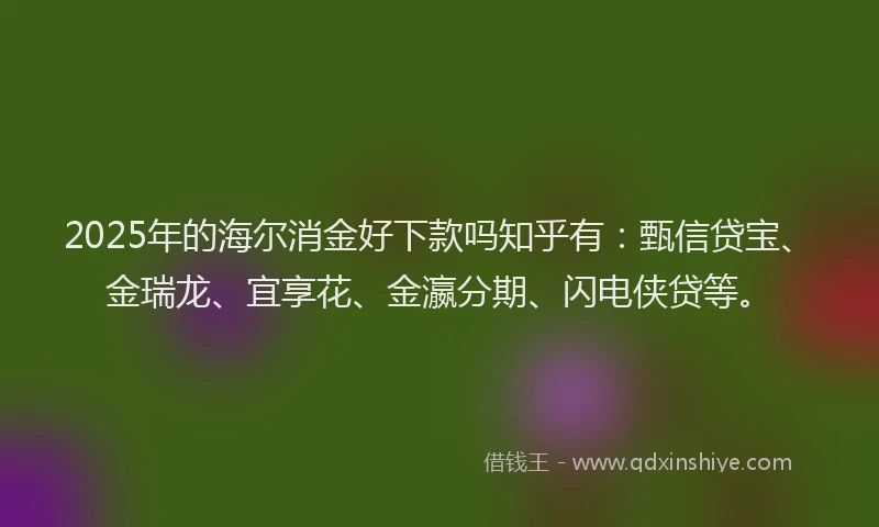 2025年的海尔消金好下款吗知乎有：甄信贷宝、金瑞龙、宜享花、金瀛分期、闪电侠贷等。