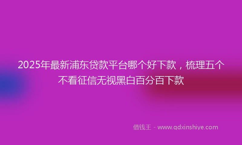 2025年最新浦东贷款平台哪个好下款，梳理五个不看征信无视黑白百分百下款