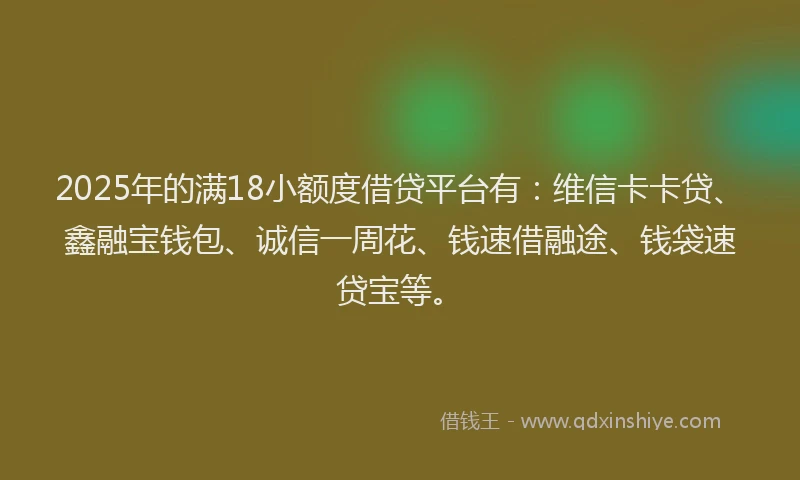 2025年的满18小额度借贷平台有：维信卡卡贷、鑫融宝钱包、诚信一周花、钱速借融途、钱袋速贷宝等。