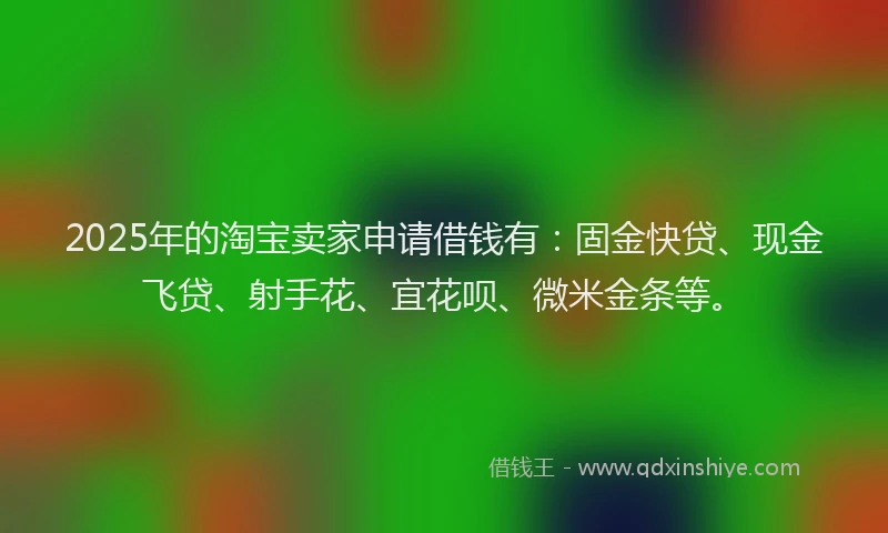 2025年的淘宝卖家申请借钱有：固金快贷、现金飞贷、射手花、宜花呗、微米金条等。