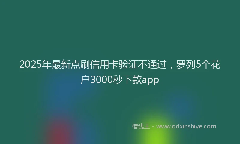 2025年最新点刷信用卡验证不通过，罗列5个花户3000秒下款app