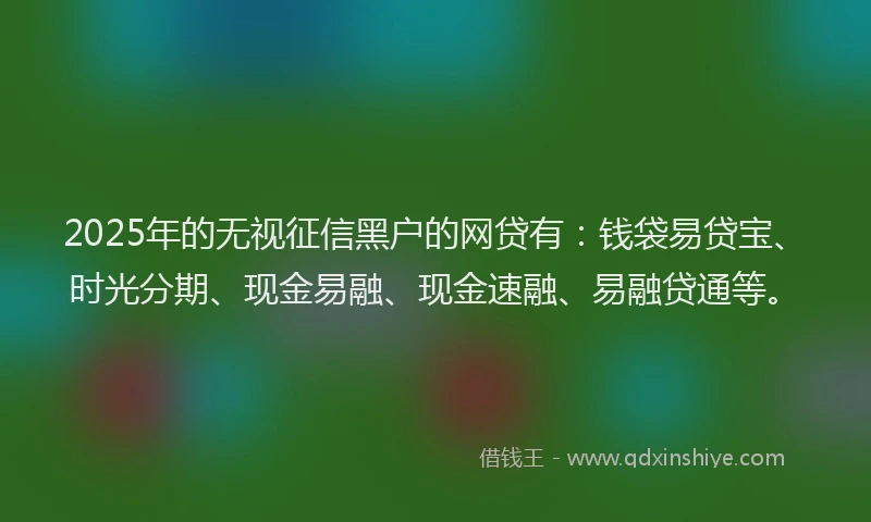 2025年的无视征信黑户的网贷有：钱袋易贷宝、时光分期、现金易融、现金速融、易融贷通等。