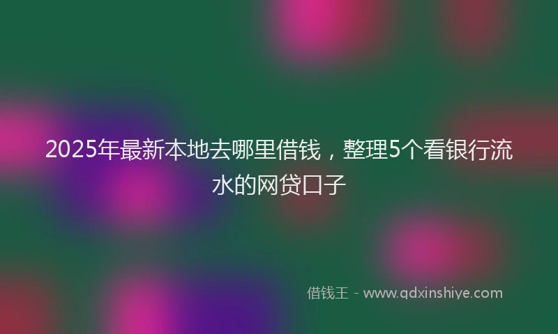 2025年最新本地去哪里借钱，整理5个看银行流水的网贷口子