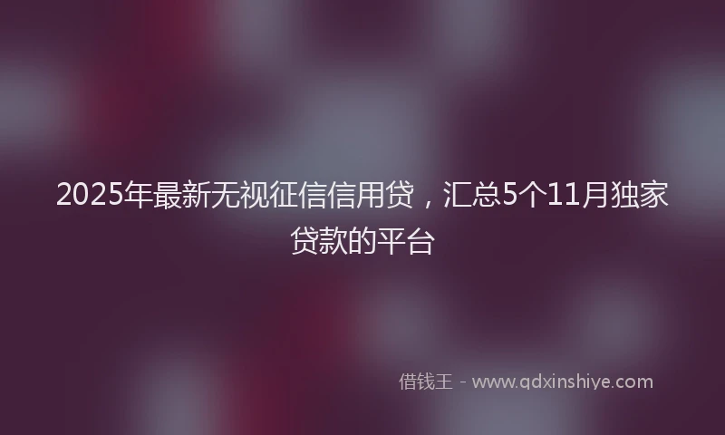 2025年最新无视征信信用贷，汇总5个11月独家贷款的平台
