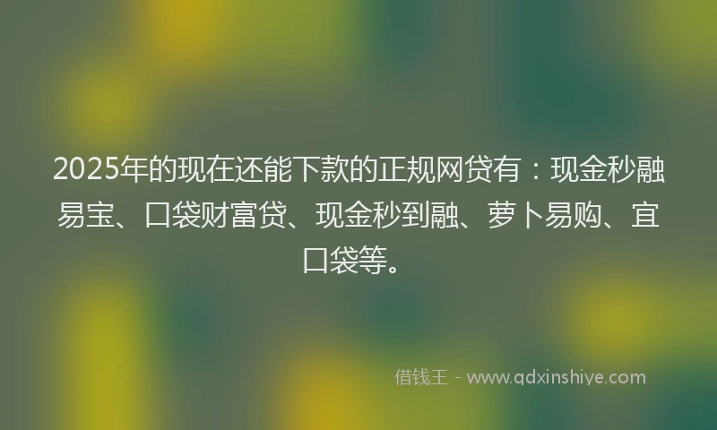 2025年的现在还能下款的正规网贷有：现金秒融易宝、口袋财富贷、现金秒到融、萝卜易购、宜口袋等。