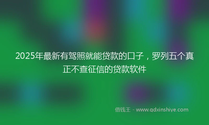 2025年最新有驾照就能贷款的口子，罗列五个真正不查征信的贷款软件