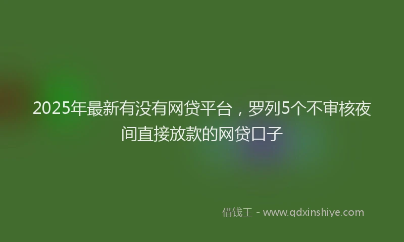 2025年最新有没有网贷平台，罗列5个不审核夜间直接放款的网贷口子