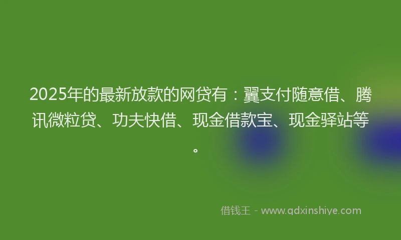 2025年的最新放款的网贷有：翼支付随意借、腾讯微粒贷、功夫快借、现金借款宝、现金驿站等。