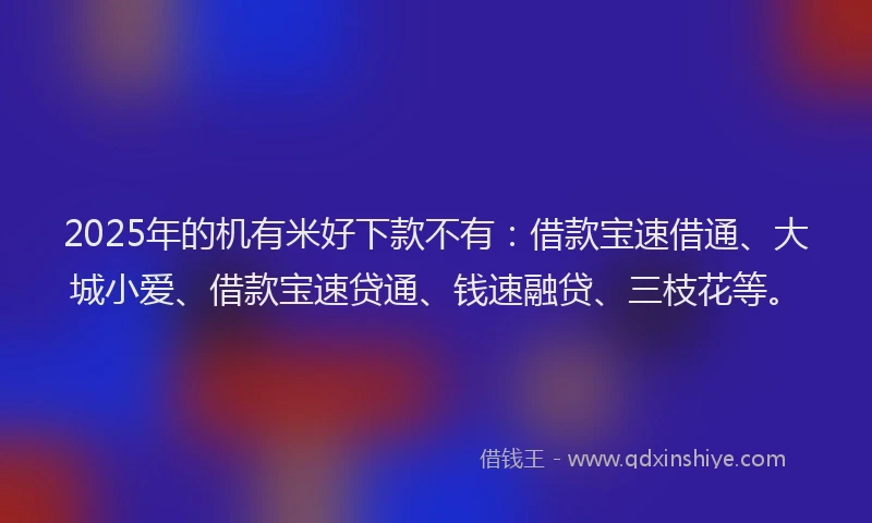 2025年的机有米好下款不有：借款宝速借通、大城小爱、借款宝速贷通、钱速融贷、三枝花等。