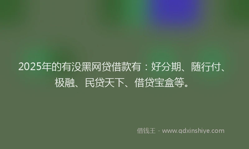 2025年的有没黑网贷借款有：好分期、随行付、极融、民贷天下、借贷宝盒等。