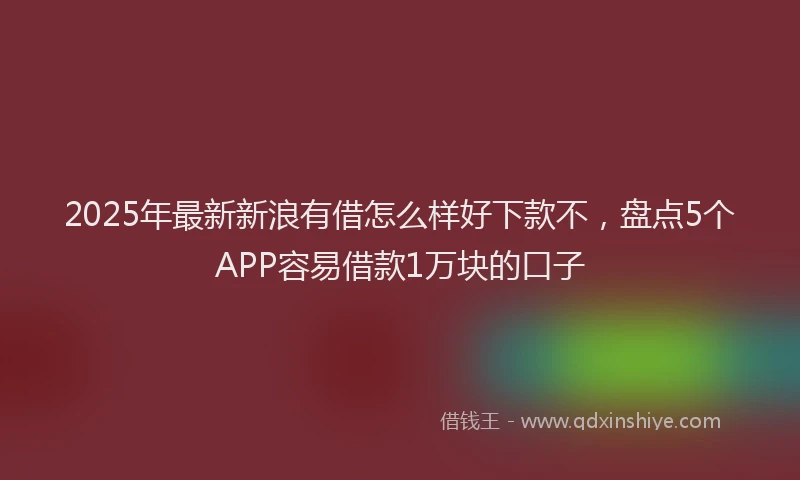 2025年最新新浪有借怎么样好下款不，盘点5个APP容易借款1万块的口子