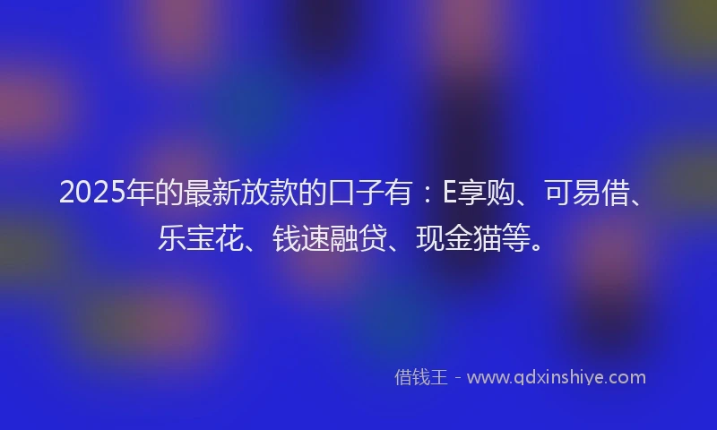 2025年的最新放款的口子有：E享购、可易借、乐宝花、钱速融贷、现金猫等。