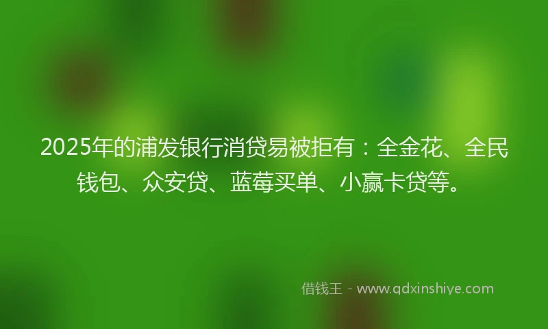 2025年的浦发银行消贷易被拒有：全金花、全民钱包、众安贷、蓝莓买单、小赢卡贷等。
