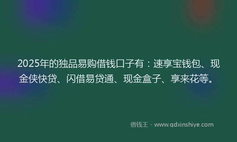2025年的独品易购借钱口子有：速享宝钱包、现金侠快贷、闪借易贷通、现金盒子、享来花等。