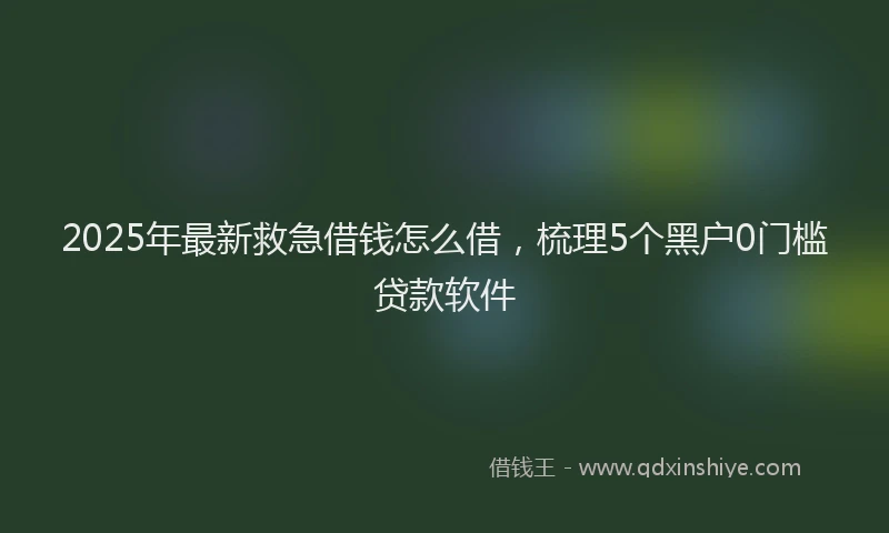 2025年最新救急借钱怎么借，梳理5个黑户0门槛贷款软件