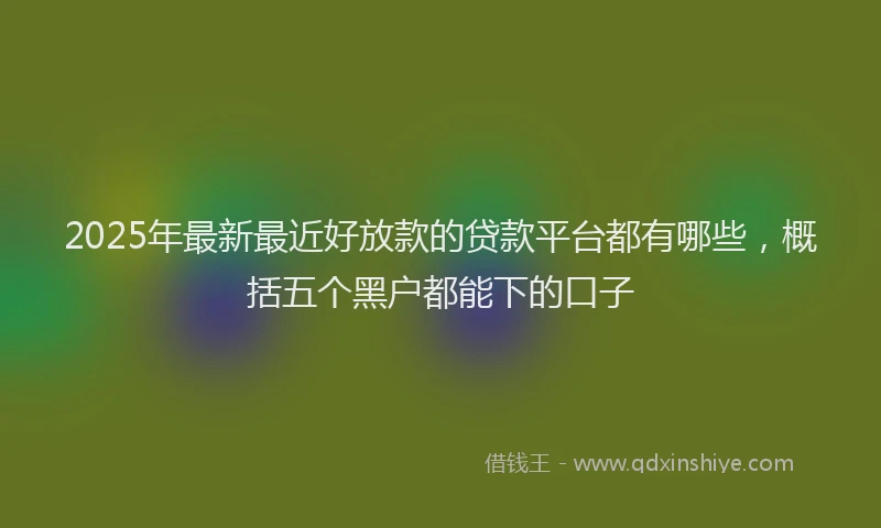 2025年最新最近好放款的贷款平台都有哪些，概括五个黑户都能下的口子