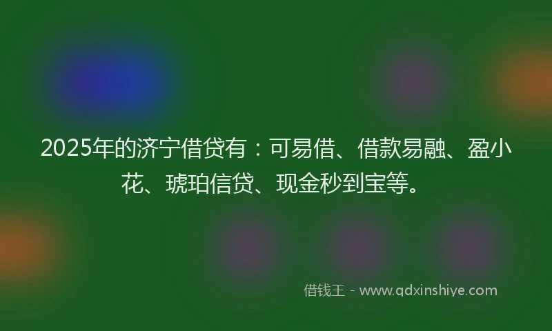 2025年的济宁借贷有：可易借、借款易融、盈小花、琥珀信贷、现金秒到宝等。
