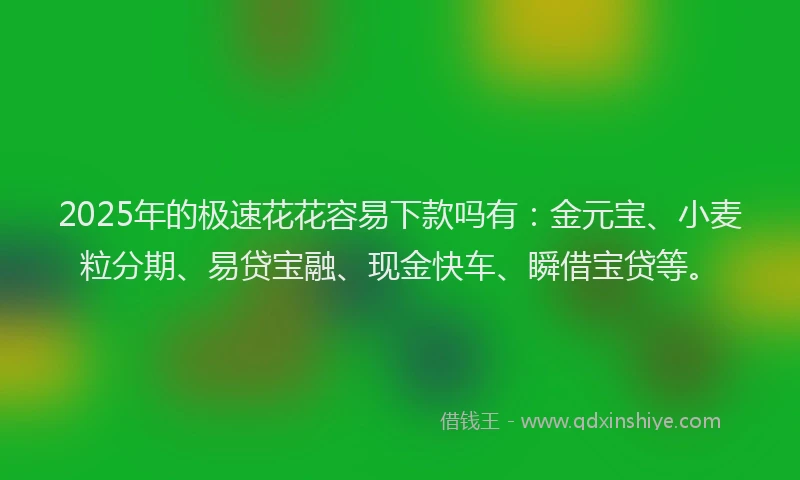 2025年的极速花花容易下款吗有：金元宝、小麦粒分期、易贷宝融、现金快车、瞬借宝贷等。