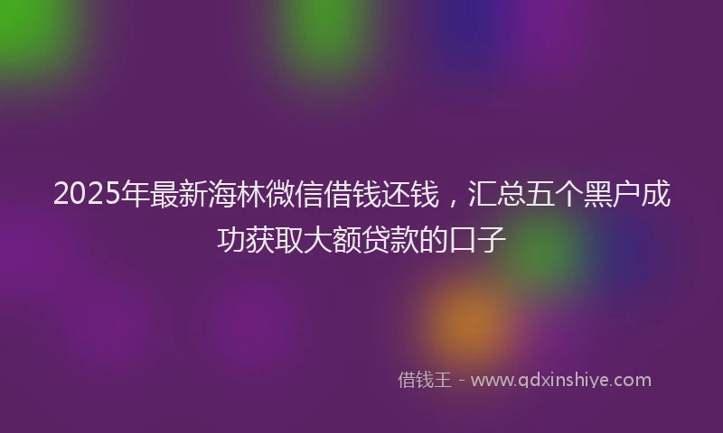 2025年最新海林微信借钱还钱，汇总五个黑户成功获取大额贷款的口子