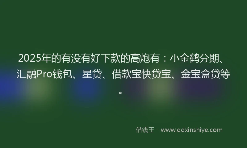 2025年的有没有好下款的高炮有：小金鹤分期、汇融Pro钱包、星贷、借款宝快贷宝、金宝盒贷等。