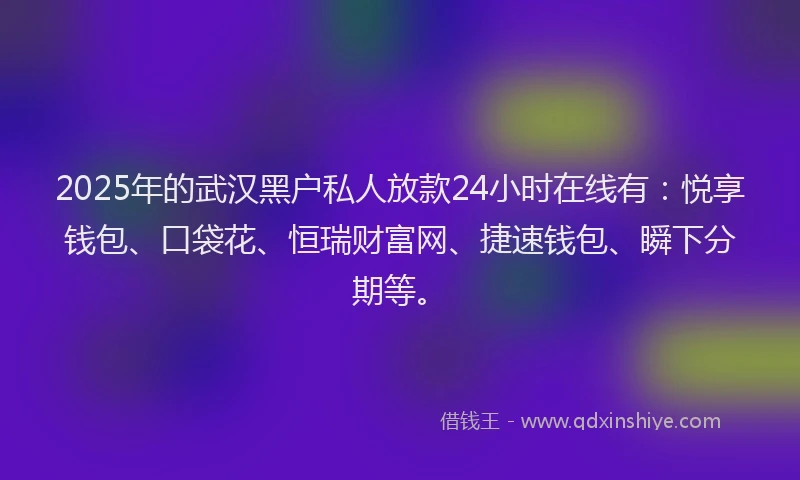 2025年的武汉黑户私人放款24小时在线有：悦享钱包、口袋花、恒瑞财富网、捷速钱包、瞬下分期等。