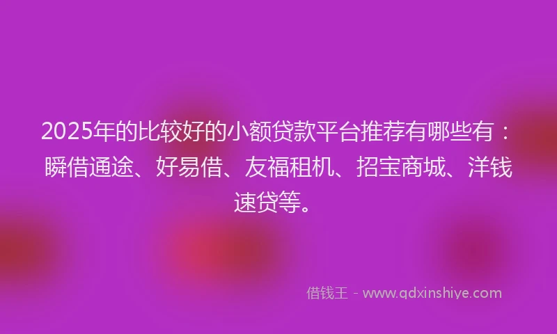 2025年的比较好的小额贷款平台推荐有哪些有：瞬借通途、好易借、友福租机、招宝商城、洋钱速贷等。