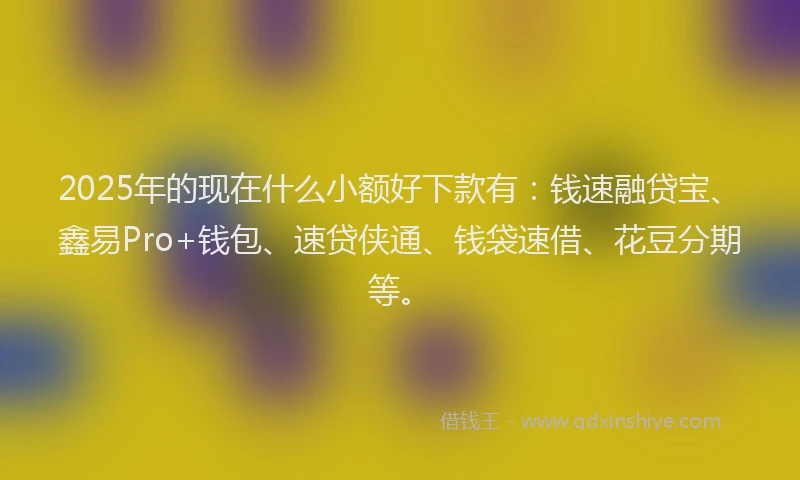 2025年的现在什么小额好下款有:钱速融贷宝、鑫易Pro+钱包、速贷侠通、钱袋速借、花豆分期等。