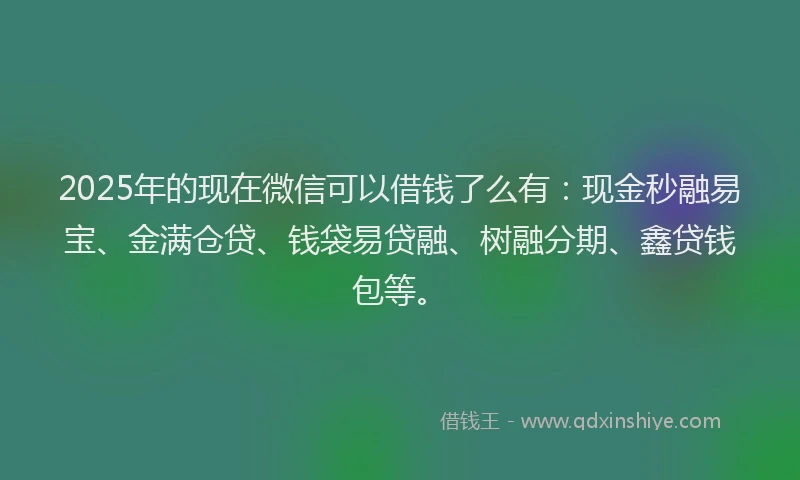 2025年的现在微信可以借钱了么有：现金秒融易宝、金满仓贷、钱袋易贷融、树融分期、鑫贷钱包等。