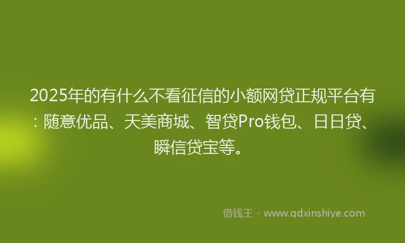 2025年的有什么不看征信的小额网贷正规平台有：随意优品、天美商城、智贷Pro钱包、日日贷、瞬信贷宝等。