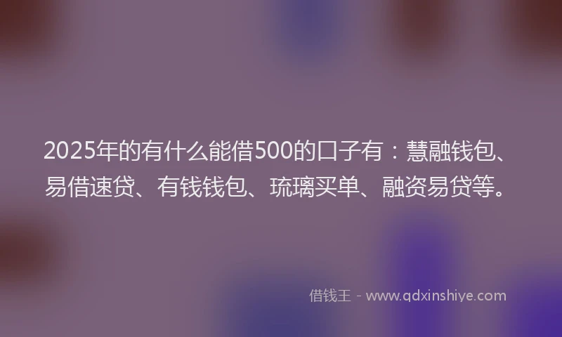 2025年的有什么能借500的口子有：慧融钱包、易借速贷、有钱钱包、琉璃买单、融资易贷等。