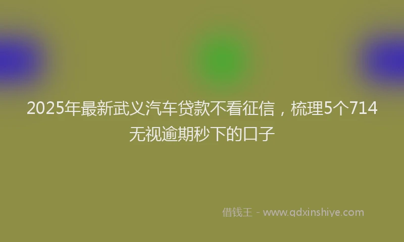 2025年最新武义汽车贷款不看征信，梳理5个714无视逾期秒下的口子