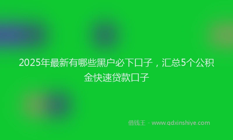 2025年最新有哪些黑户必下口子，汇总5个公积金快速贷款口子