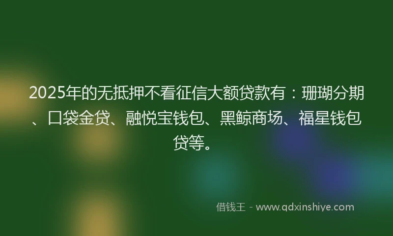 2025年的无抵押不看征信大额贷款有：珊瑚分期、口袋金贷、融悦宝钱包、黑鲸商场、福星钱包贷等。