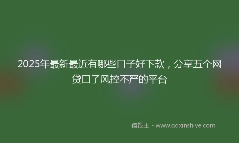 2025年最新最近有哪些口子好下款，分享五个网贷口子风控不严的平台