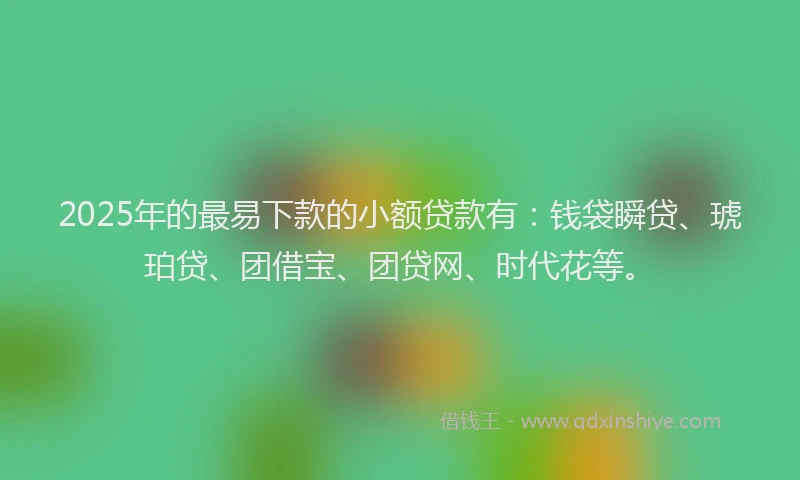 2025年的最易下款的小额贷款有：钱袋瞬贷、琥珀贷、团借宝、团贷网、时代花等。