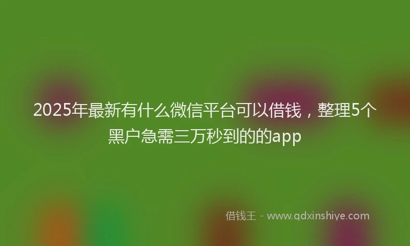 2025年最新有什么微信平台可以借钱，整理5个黑户急需三万秒到的的app