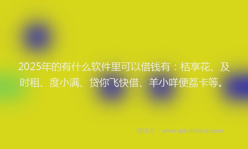 2025年的有什么软件里可以借钱有：桔享花、及时租、度小满、贷你飞快借、羊小咩便荔卡等。
