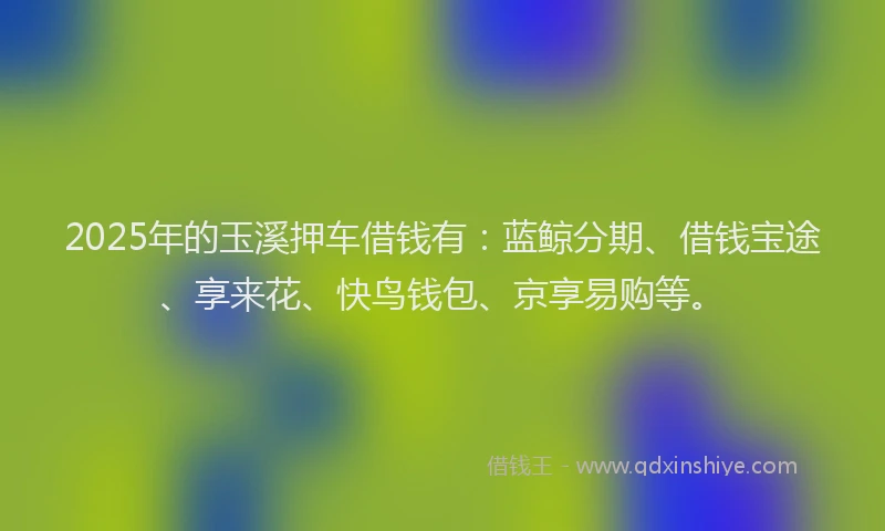 2025年的玉溪押车借钱有：蓝鲸分期、借钱宝途、享来花、快鸟钱包、京享易购等。