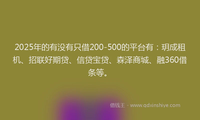 2025年的有没有只借200-500的平台有：玥成租机、招联好期贷、信贷宝贷、森泽商城、融360借条等。