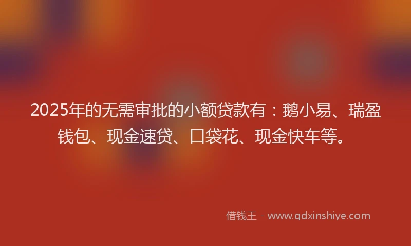 2025年的无需审批的小额贷款有：鹅小易、瑞盈钱包、现金速贷、口袋花、现金快车等。