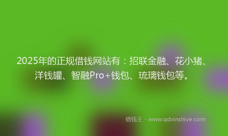 2025年的正规借钱网站有：招联金融、花小猪、洋钱罐、智融Pro+钱包、琉璃钱包等。