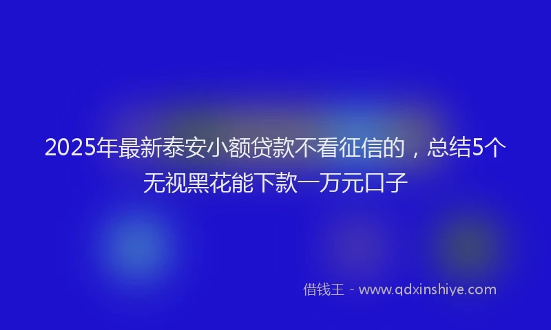2025年最新泰安小额贷款不看征信的，总结5个无视黑花能下款一万元口子