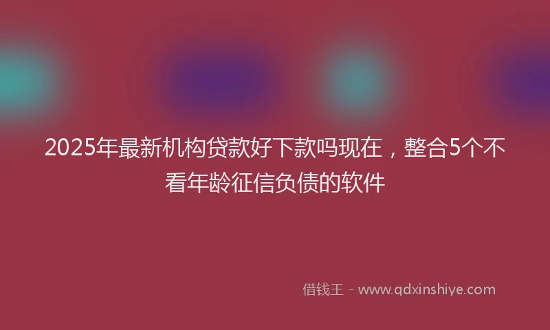 2025年最新机构贷款好下款吗现在，整合5个不看年龄征信负债的软件