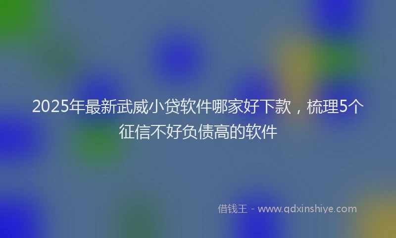 2025年最新武威小贷软件哪家好下款，梳理5个征信不好负债高的软件