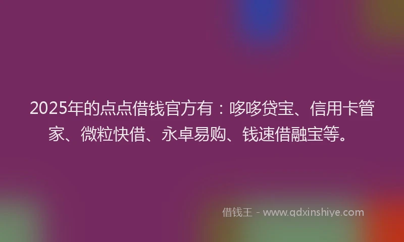 2025年的点点借钱官方有：哆哆贷宝、信用卡管家、微粒快借、永卓易购、钱速借融宝等。
