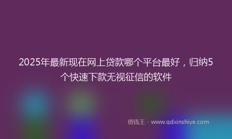 2025年最新现在网上贷款哪个平台最好，归纳5个快速下款无视征信的软件