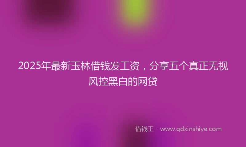 2025年最新玉林借钱发工资，分享五个真正无视风控黑白的网贷