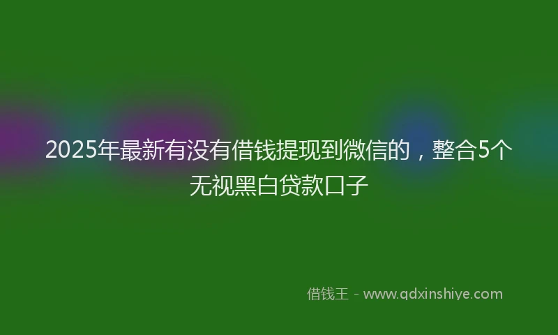 2025年最新有没有借钱提现到微信的，整合5个无视黑白贷款口子