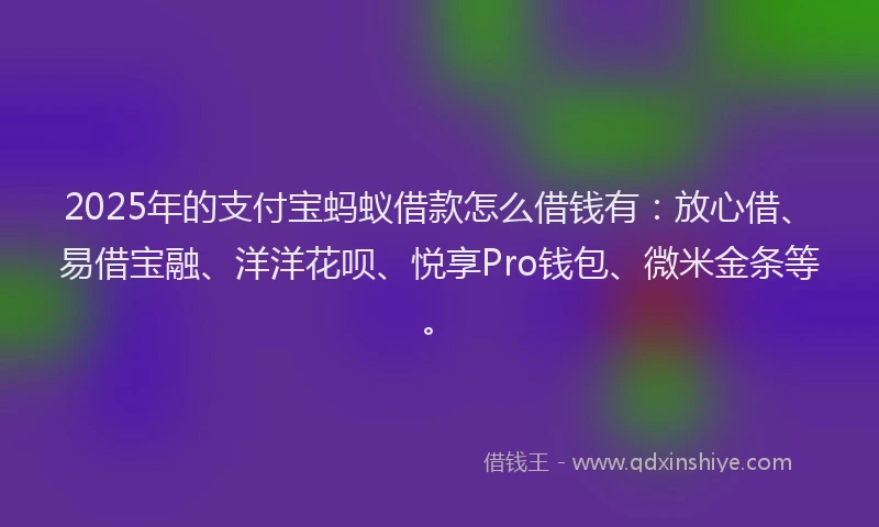 2025年的支付宝蚂蚁借款怎么借钱有：放心借、易借宝融、洋洋花呗、悦享Pro钱包、微米金条等。